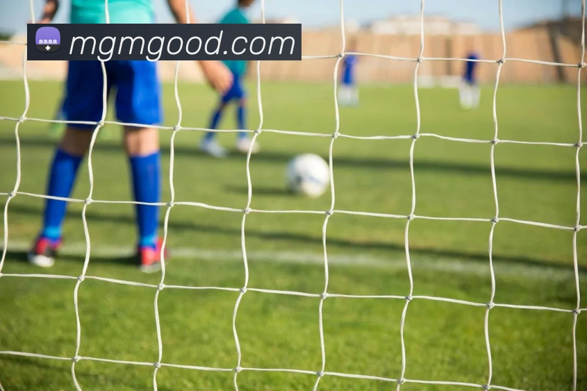 美高梅官网首页服务体系